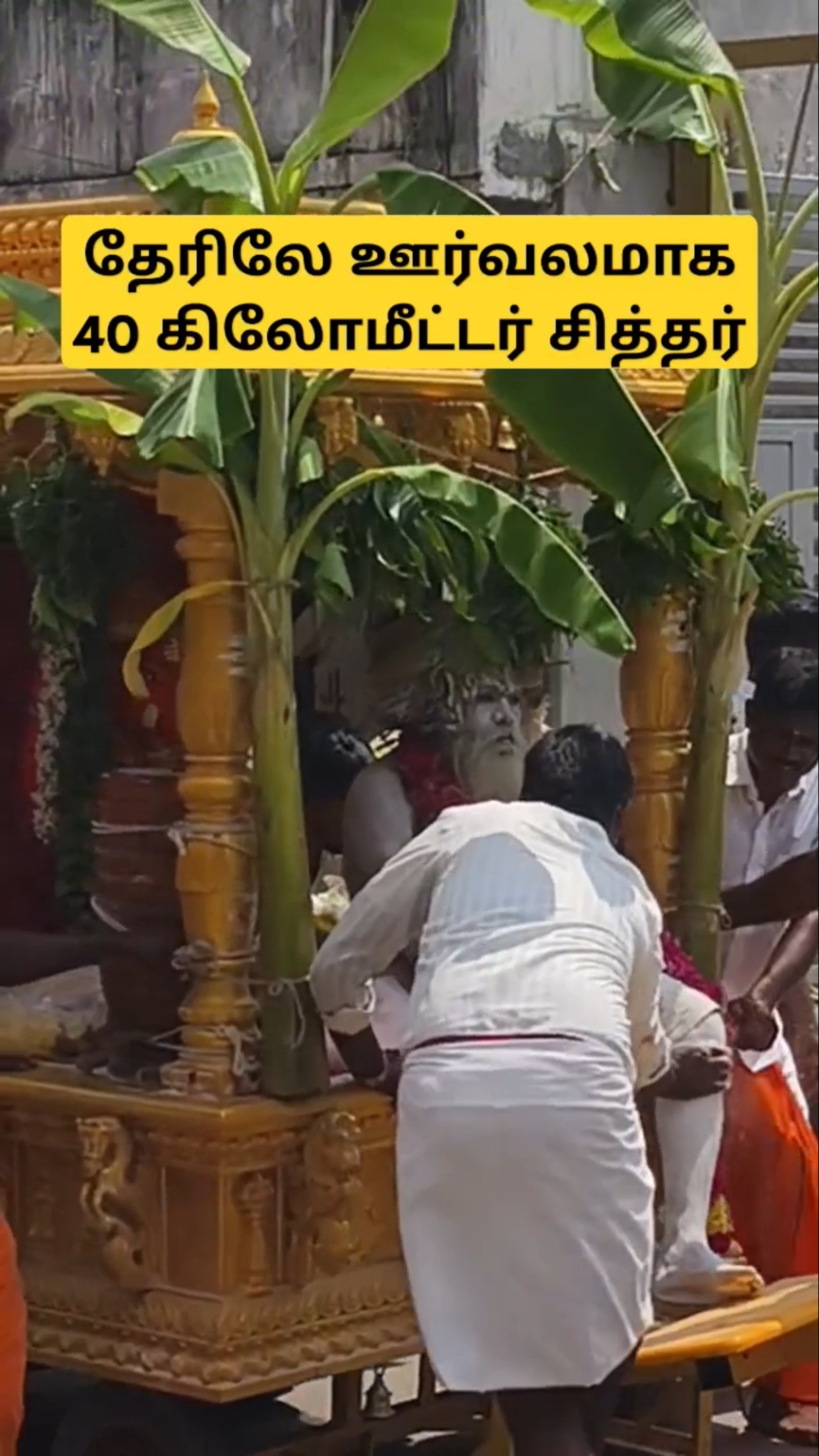 மலையிலிருந்து நகரத்திற்கு சென்று வந்த சித்தர் l பக்தர்களுக்காக சித்தர் l அரோகரா